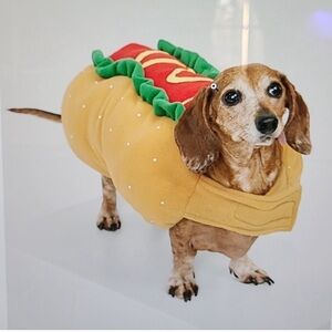 Hot dog costume for small dogs and cats